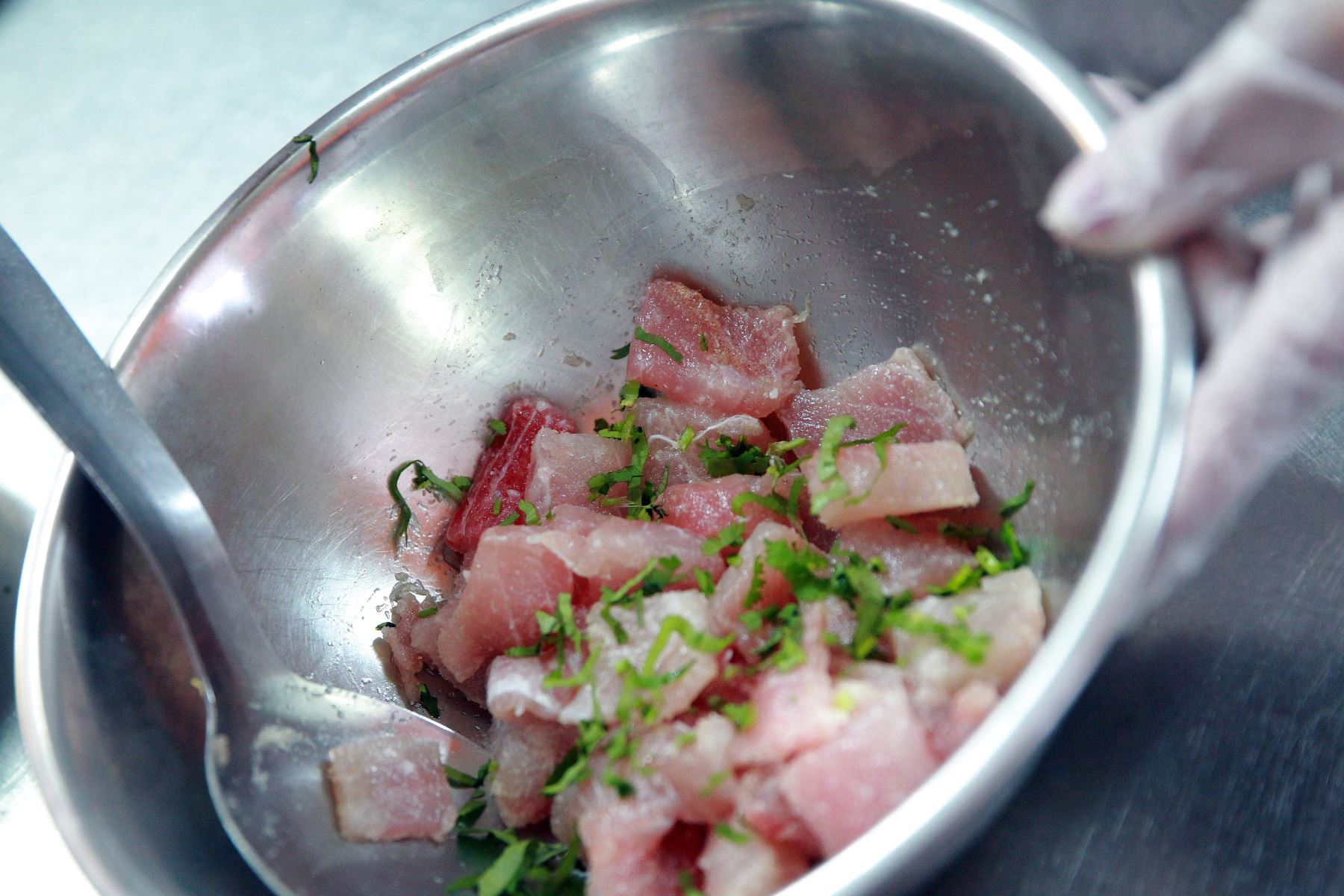 Día del Cebiche: estos son los pescados preferidos para preparar nuestro plato bandera. ANDINA/Luis Iparraguirre