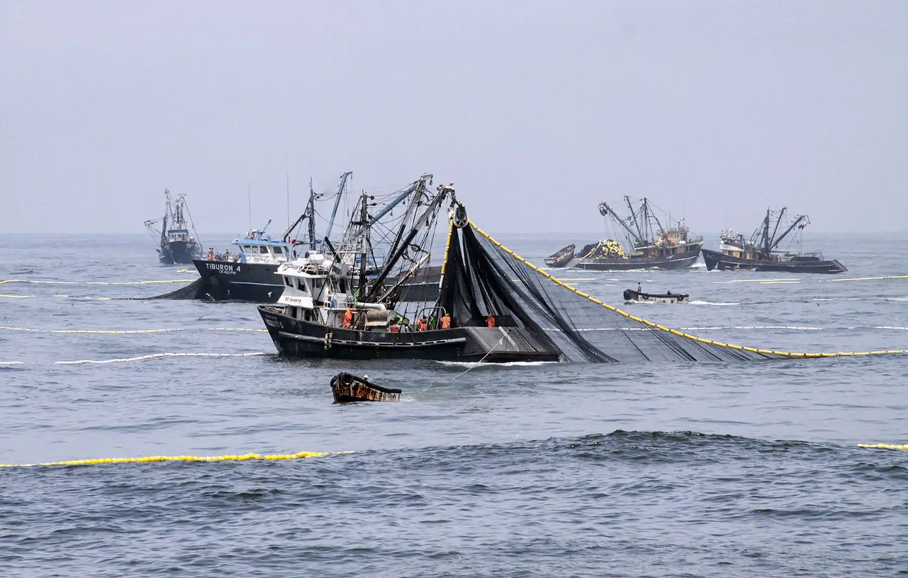 Pesca de anchoveta. ANDINA/Difusión