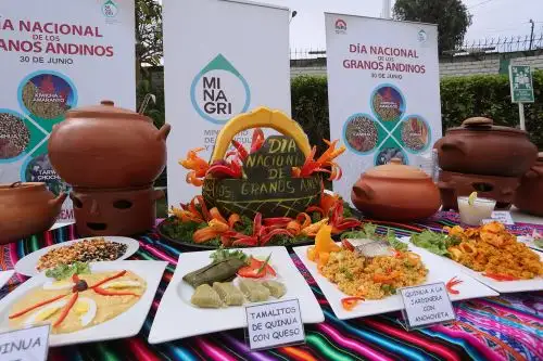 Platos a base de granos andinos
