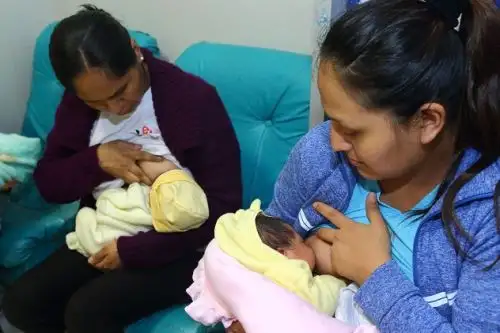 Lactancia materna reduce en 13% el riesgo de obesidad en la adolescencia y la adultez. Foto: ANDINA/Difusión.