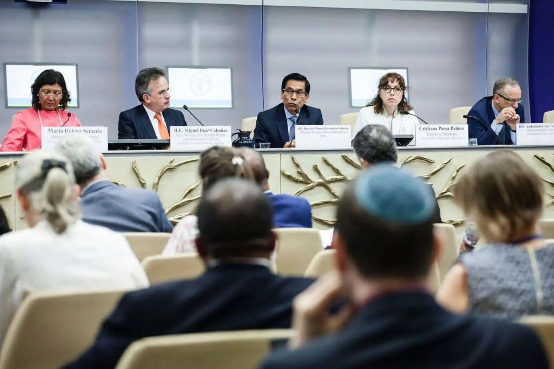 José Hernández en FAO