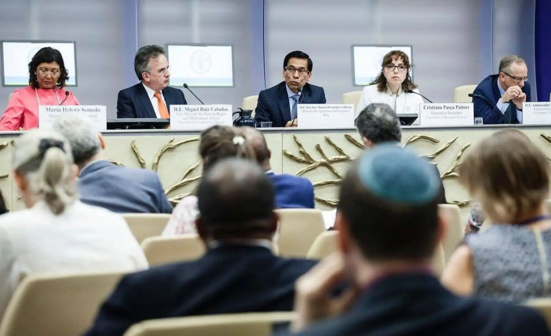 El ministro José Manuel Hernández expuso en Roma, Italia, la Conferencia Bienal de la FAO sobre Cambio Climático, Agricultura y Seguridad Alimentaria.