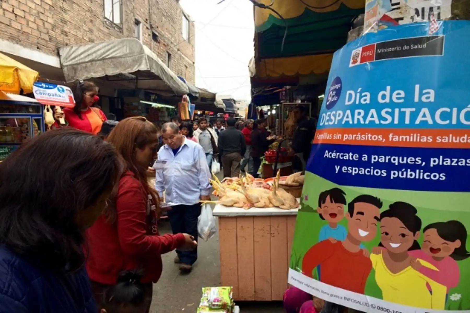 Más de 45,000 pobladores recibirán dosis de desparasitación intestinal en Moquegua.