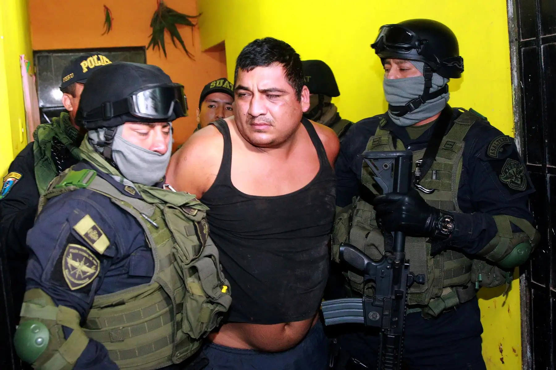 Foto: ANDINA/Luis Iparraguirre.