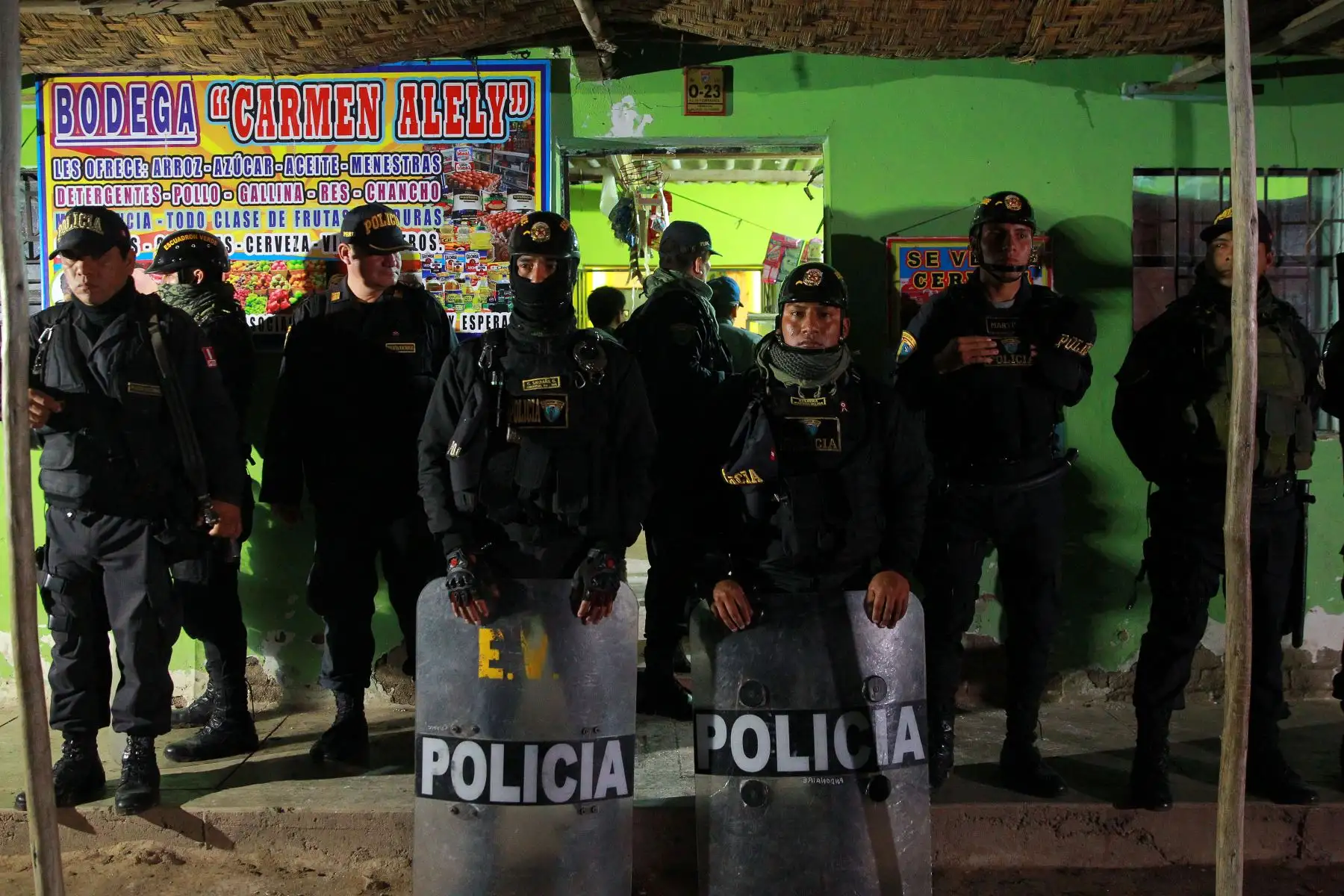 Foto: ANDINA/Luis Iparraguirre.