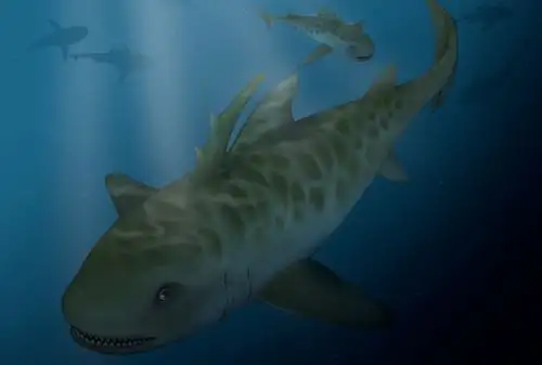 Foto: ANDINA/Difusión.