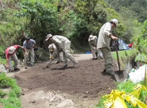 Foto: ANDINA/Difusión.