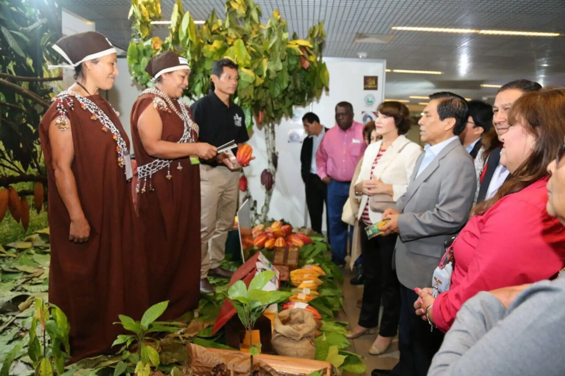 Cacao