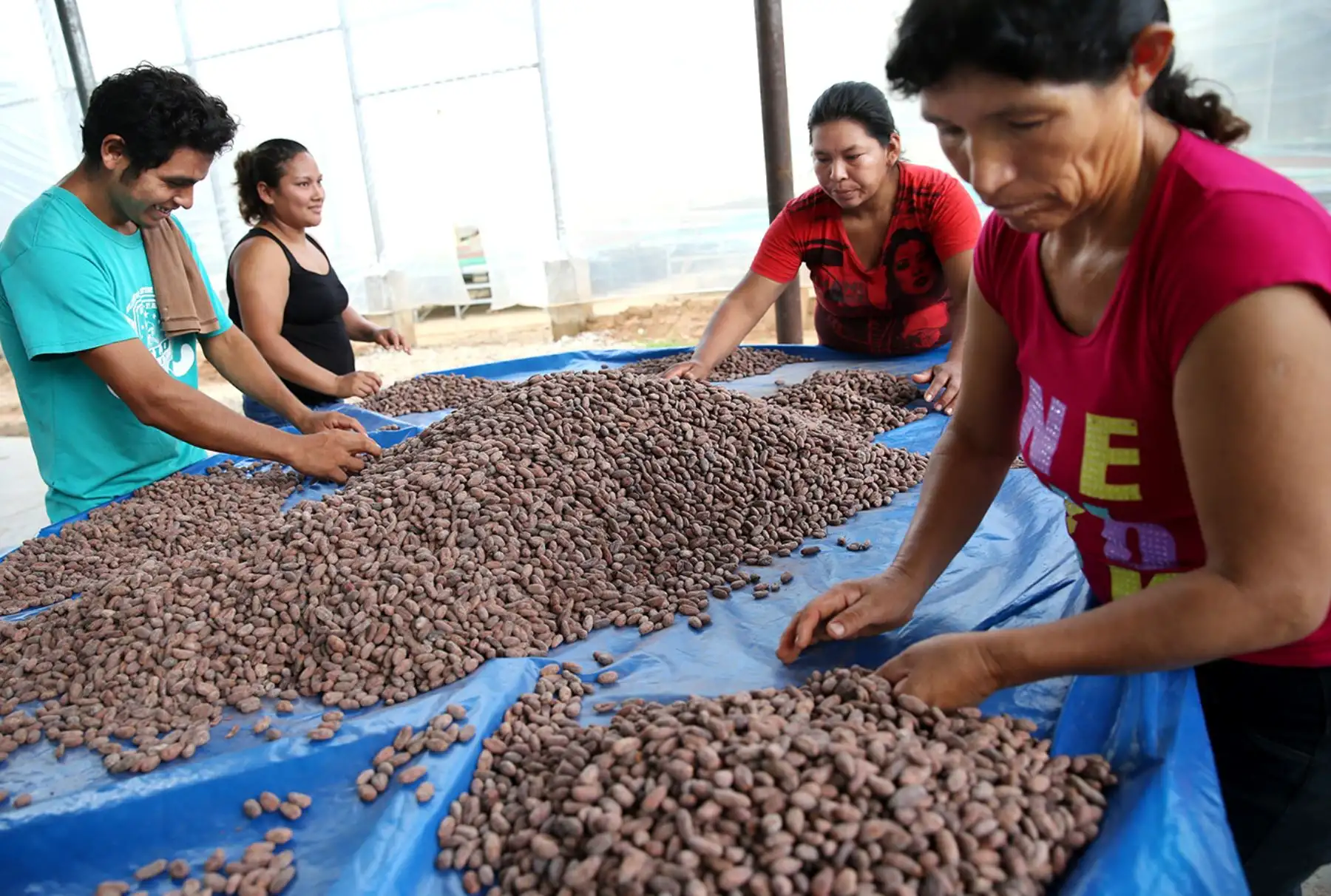 Foto: ANDINA/Melina Mejía.