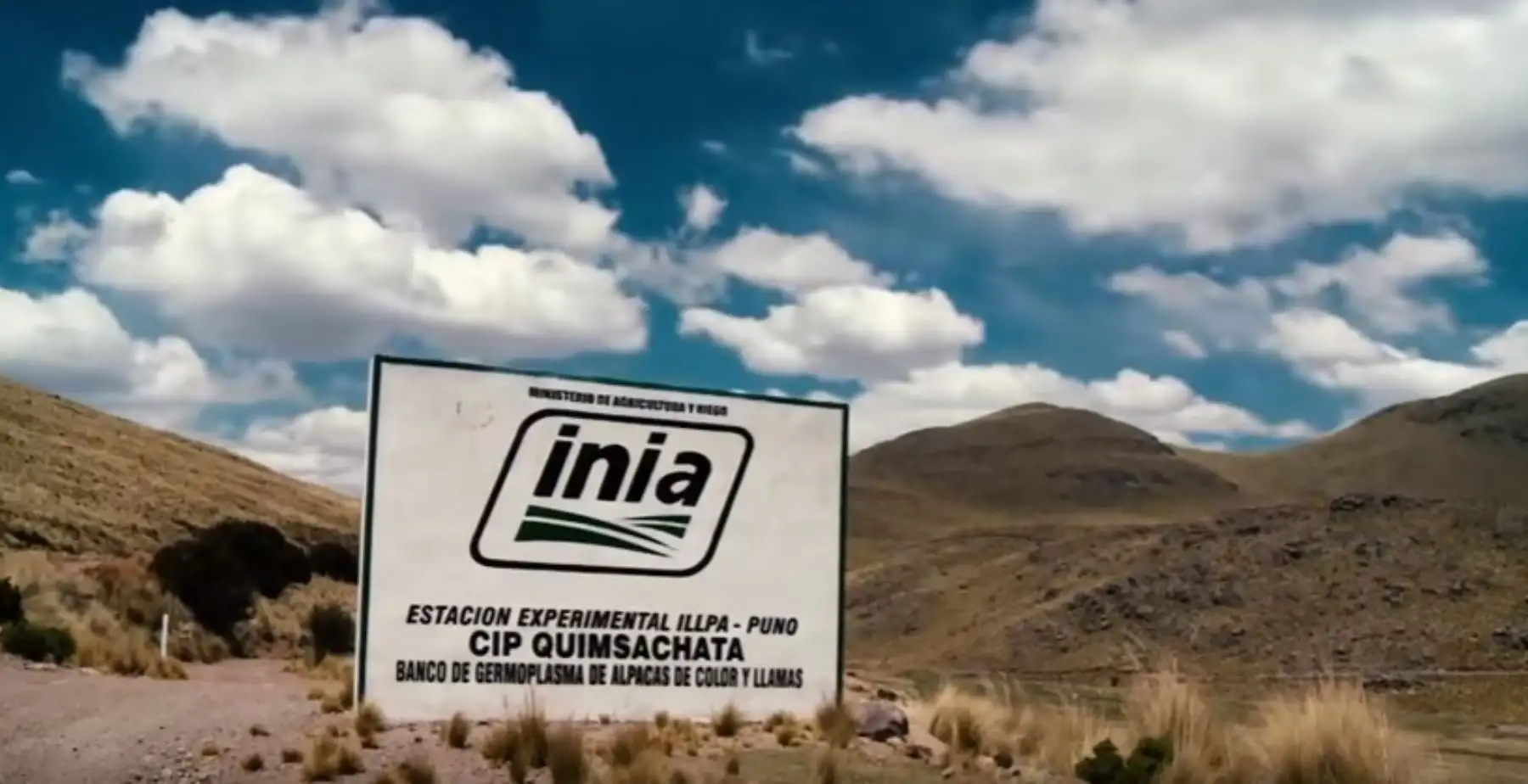 ANDINA/Difusión