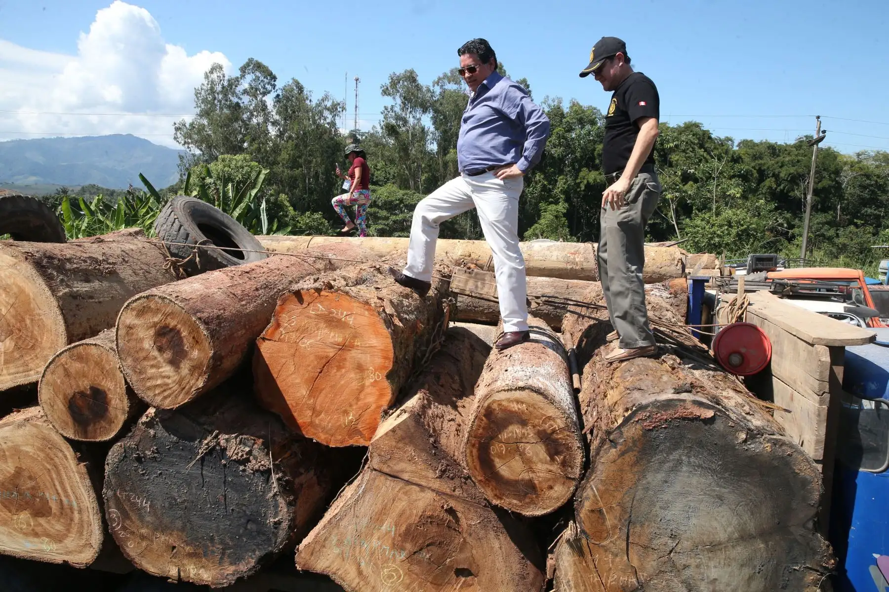 Foto: ANDINA/Vidal Tarqui.