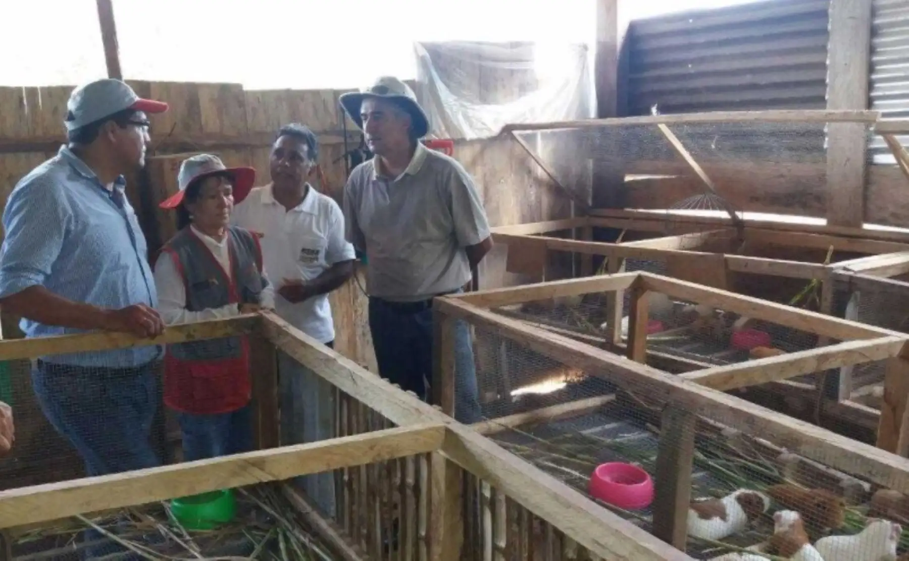 El viceministro de Prestaciones Sociales del Midis, Michel Macara-Chvili Helguero, y el director ejecutivo de Foncodes, Jorge Apoloni Quispe, junto al Jefe de la Unidad Territorial Tarapoto, Juan José Cárdenas Rengifo, supervisaron los avances en hogares y emprendimientos rurales del proyecto Noa Jayatai en la región San Martín.