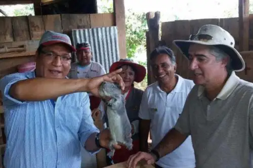 ANDINA/Difusión