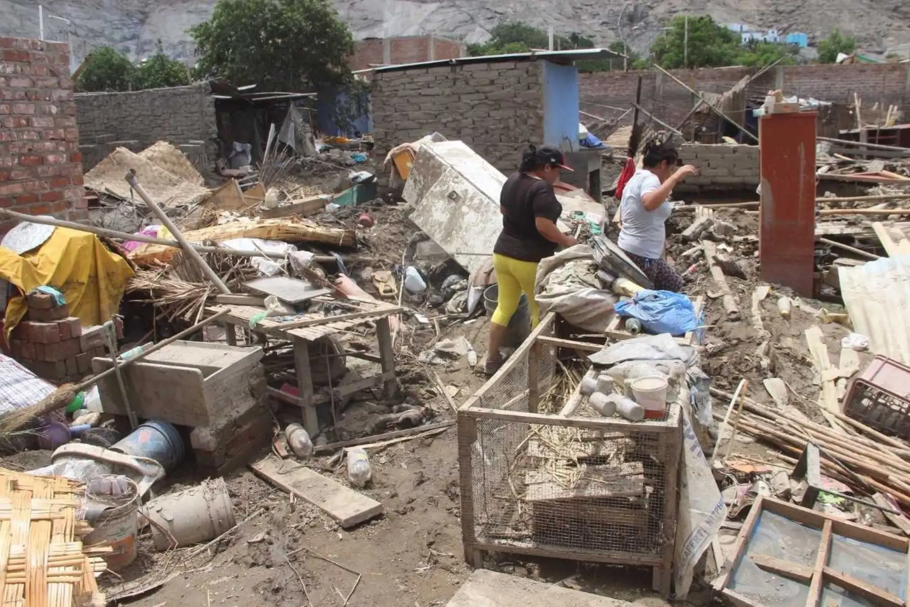 Reempadronamiento se realiza desde el jueves de la semana pasada y ya se han recorrido lugares como San Juan, Rinconada, Valle Progreso y La Cuadra, entre otras zonas rurales alrededor de la ciudad de Chimbote.