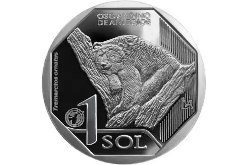 Sol oso andino de anteojos.