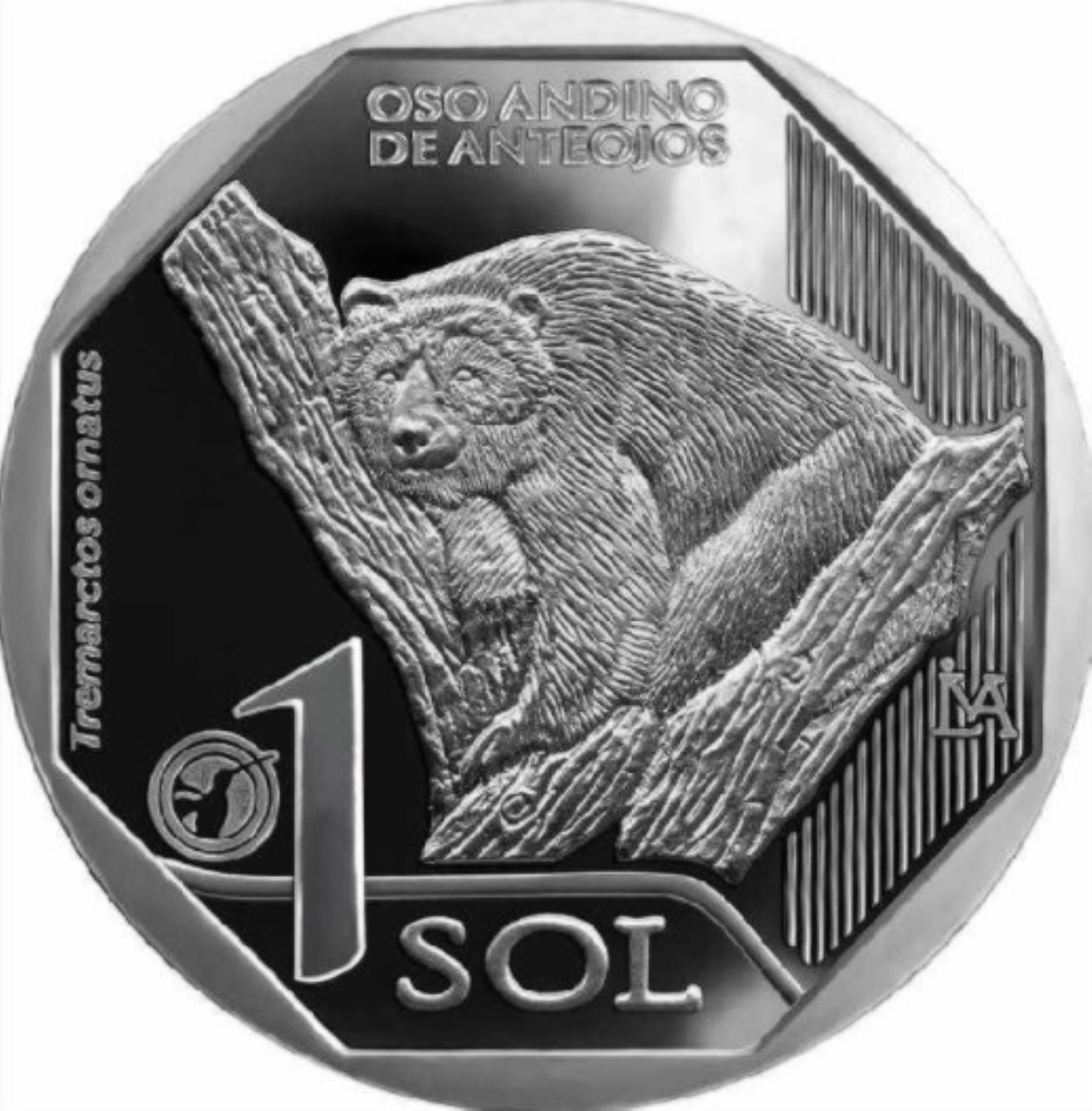 Áreas Naturales Protegidas celebran nueva moneda de S/ 1 alusiva al oso de anteojos