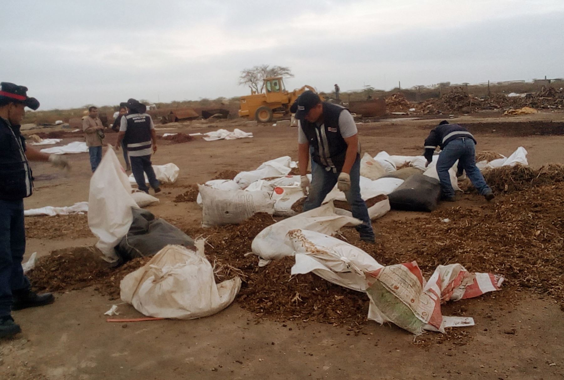 Autoridades destruyen 39 toneladas de harina de pescado de origen ilegal en provincia de Paita, en Piura.