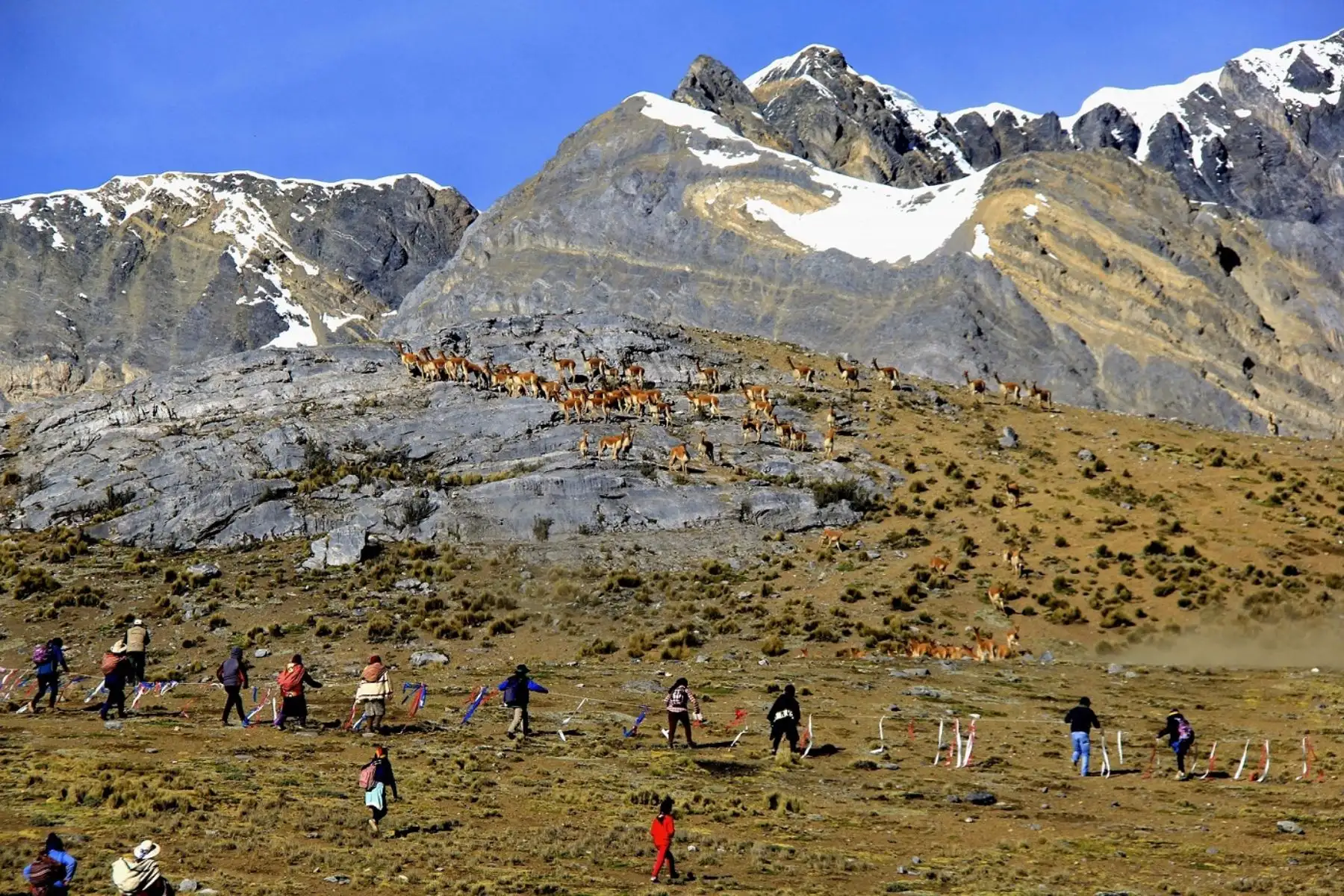 ANDINA/Difusión