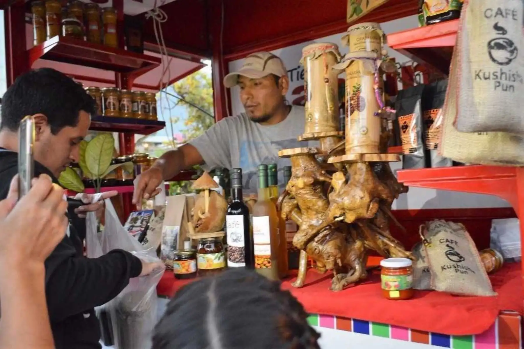 Foto: ANDINA/Difusión.