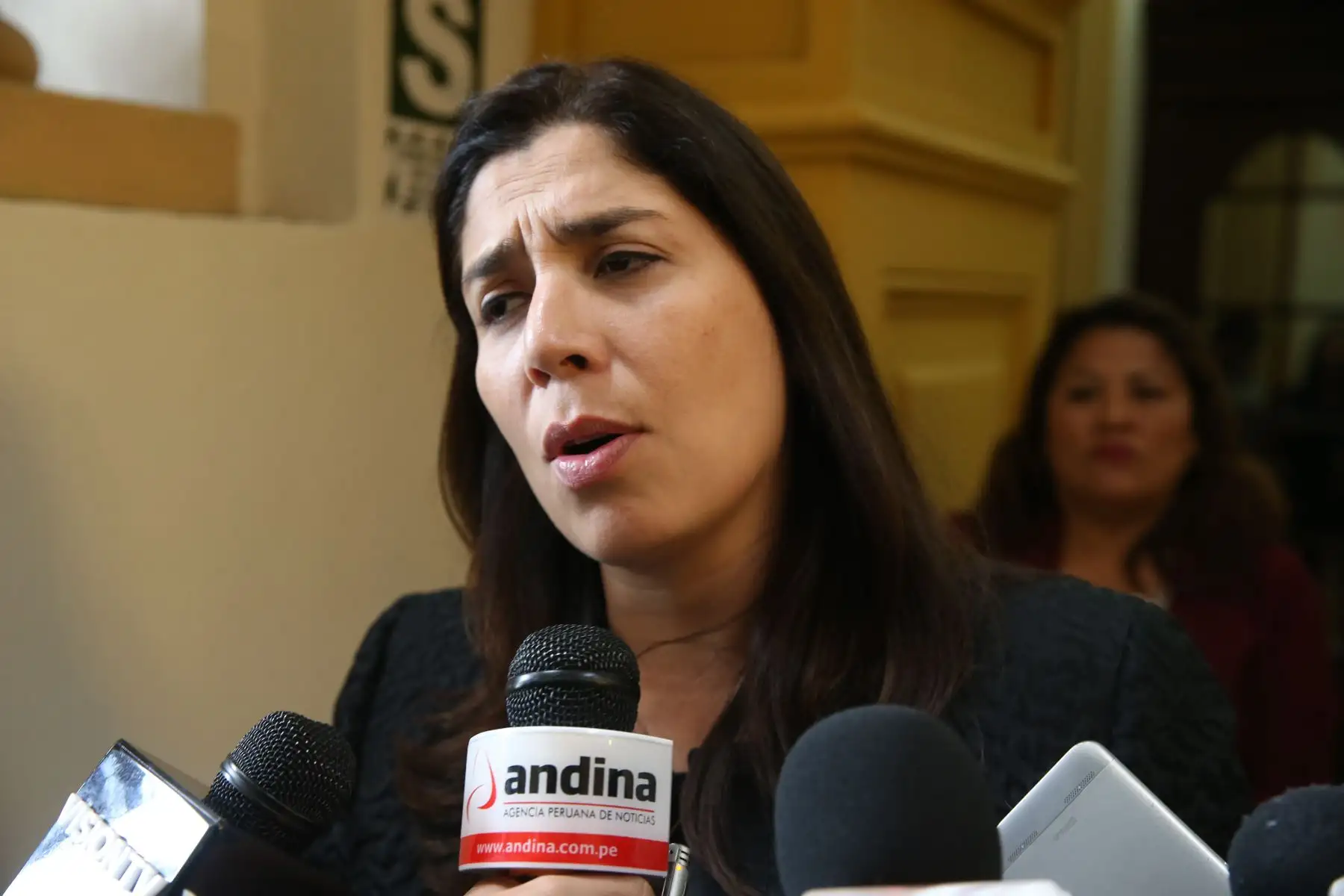 Foto: ANDINA/archivo.