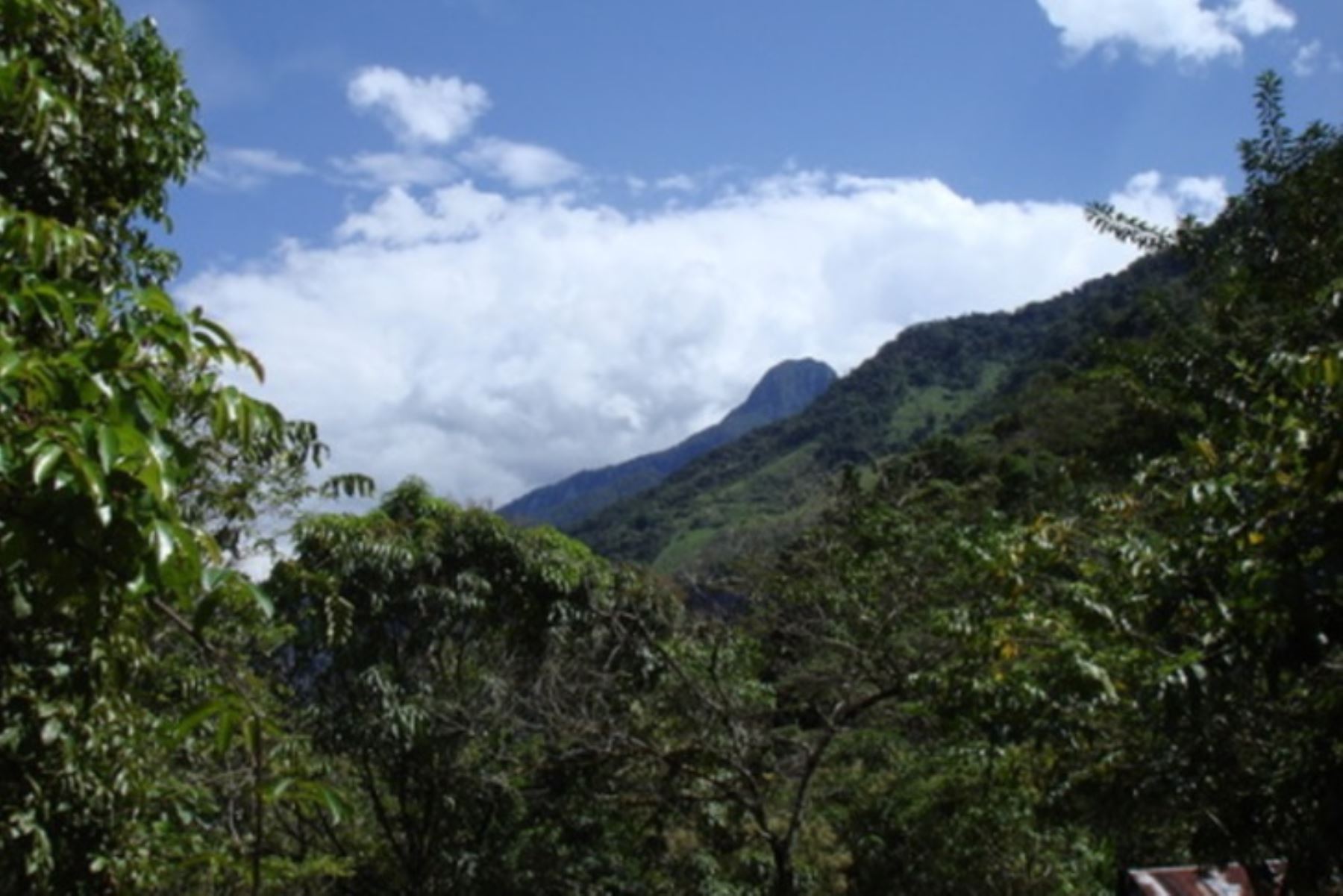 Santuario Nacional Pampa Hermosa, en la provincia de Tarma, región Junín.