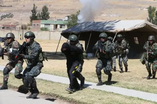 Foto: ANDINA/Vidal Tarqui.