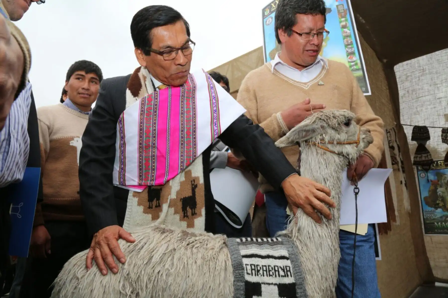 Alpaca