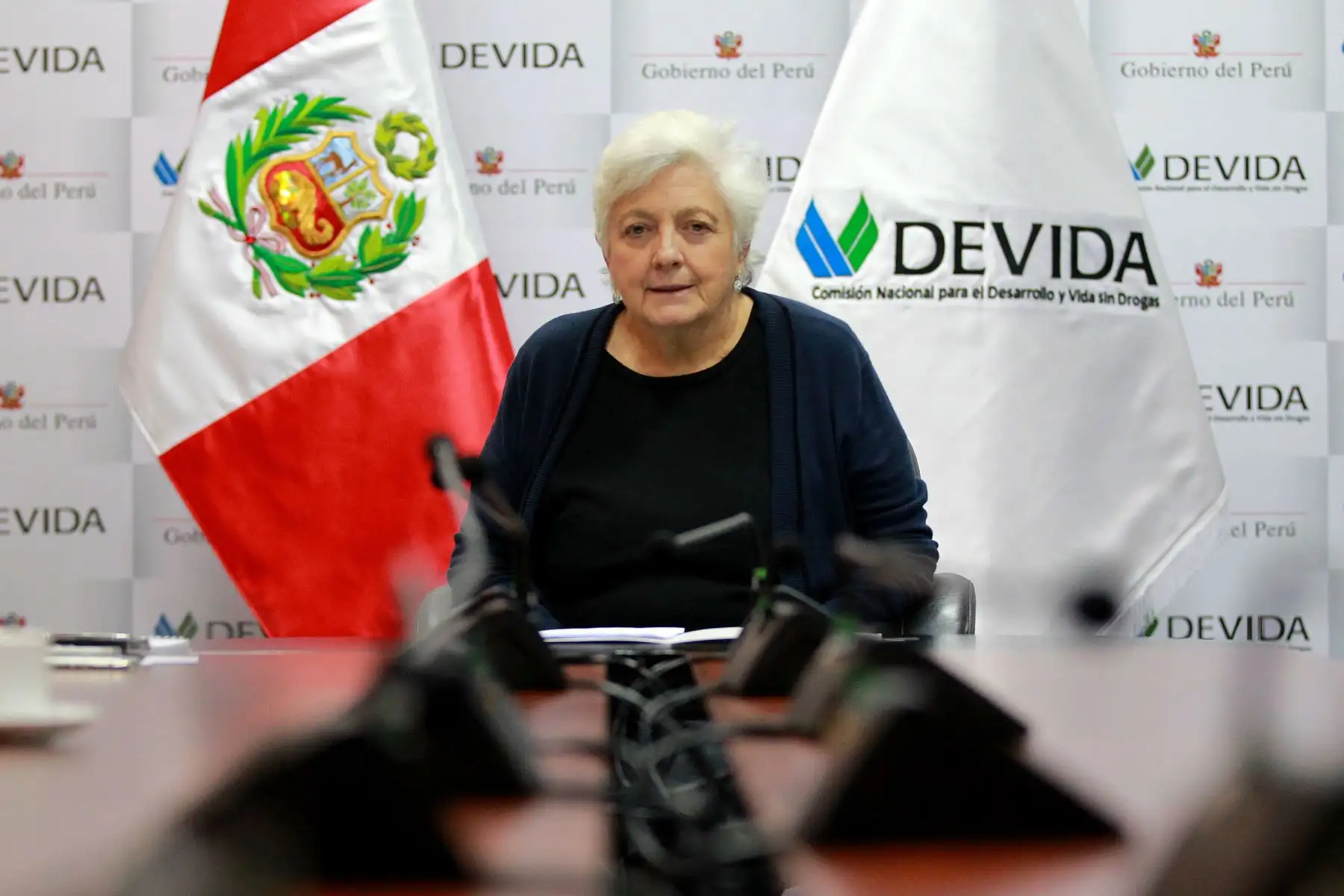 Foto: ANDINA/Luis Iparraguirre.