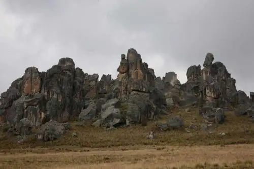 El Santuario Nacional de Huayllay fue creado oficialmente el 7 de agosto de 1974 y tiene una extensión de 6,815 hectáreas. ANDINA/Difusión