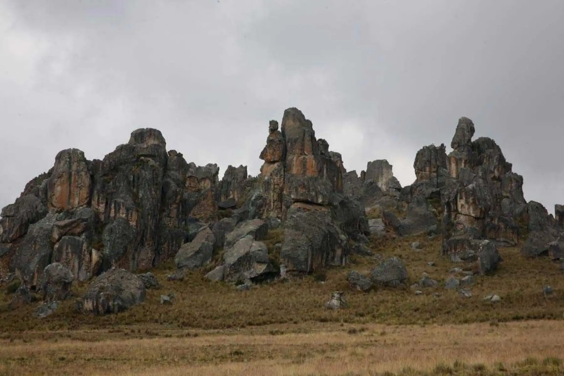 El Santuario Nacional de Huayllay fue creado oficialmente el 7 de agosto de 1974 y tiene una extensión de 6,815 hectáreas. ANDINA/Difusión