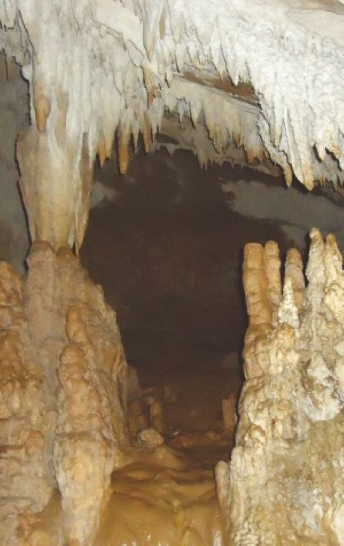 Cueva del pulpo, ubicada en la provincia de Tocache, región San Martín. Foto: Dirección Regional de Turismo de San Martín.