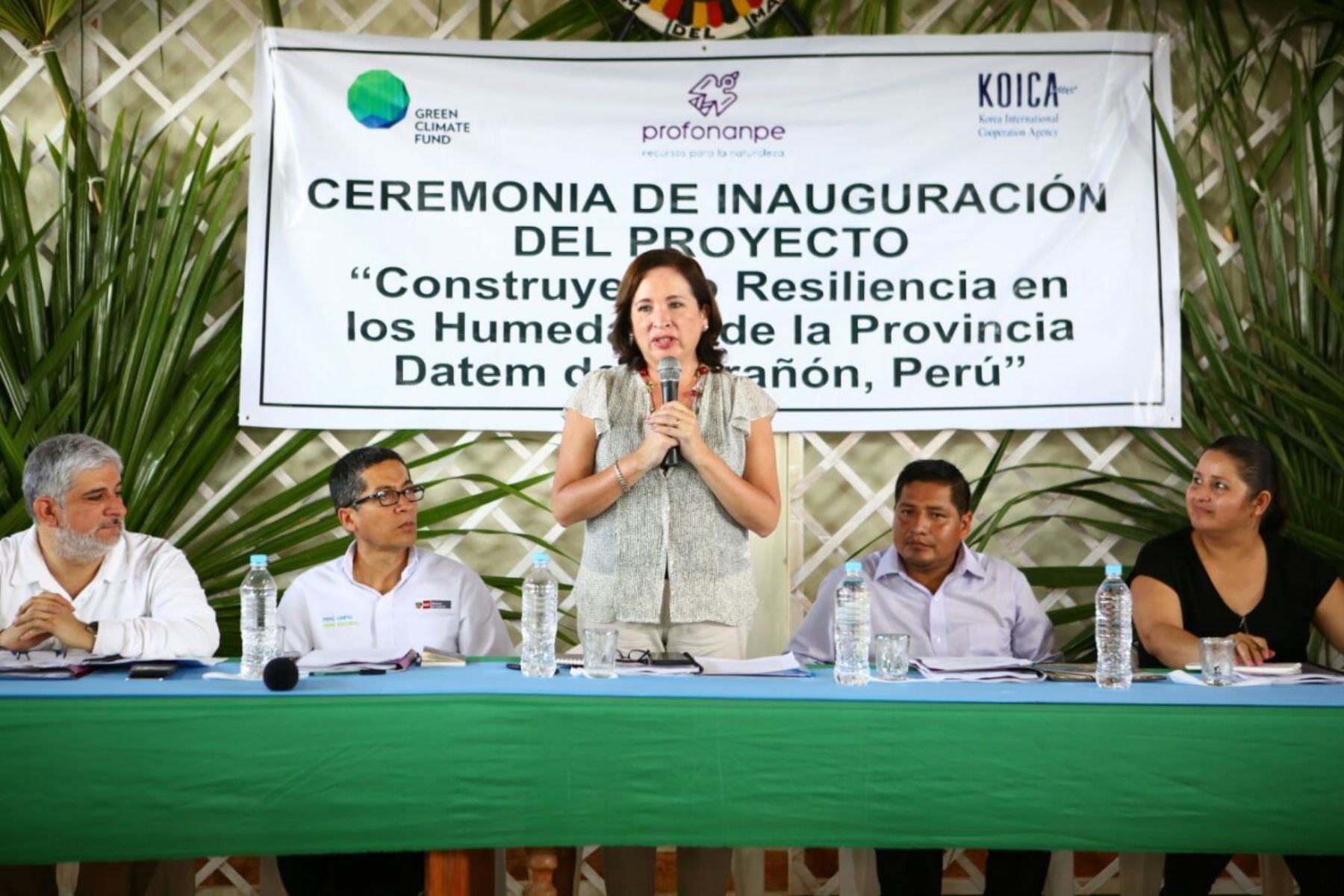 Minam implementa proyecto para evitar deforestación en región Loreto.