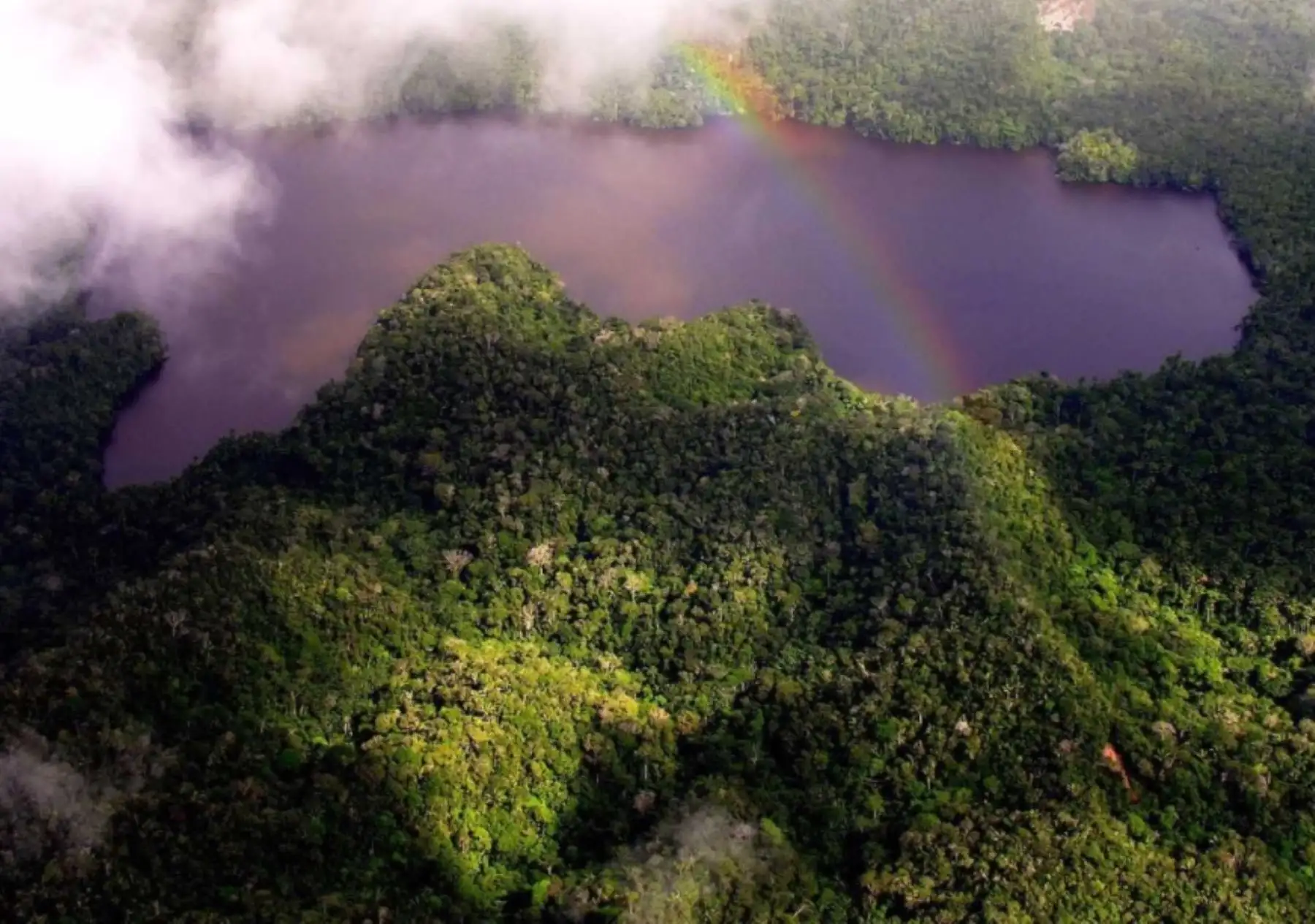 Parque Nacional Cordillera Azul, en la región San Martín.