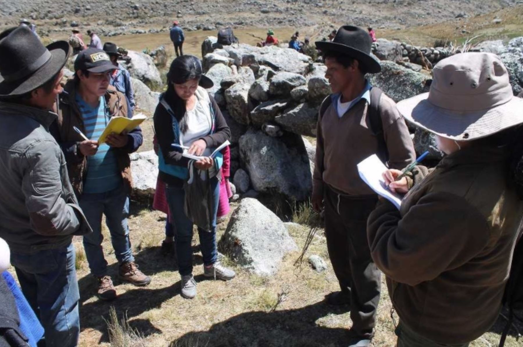 Parque Nacional Huascarán: Sernanp busca disminuir sobrepastoreo con monitoreo de ganado