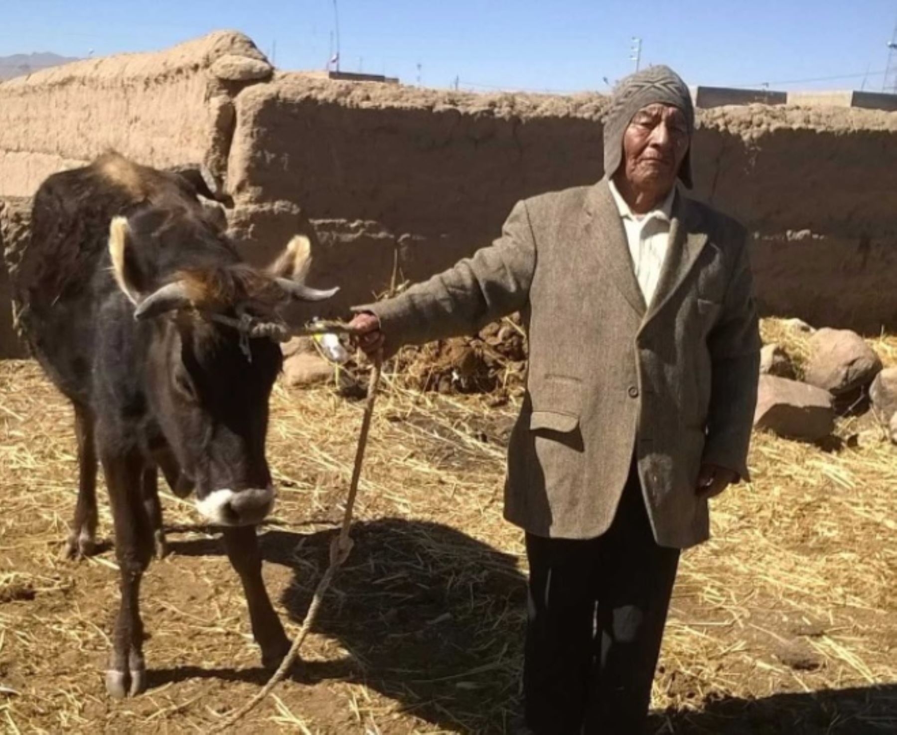 Uno de los varones súper centenarios con 112 años de edad es Pedro Ccallo Ccallo, quien vive en el centro poblado de Chijichaya, distrito Ilave, provincia El Collao, región Puno.