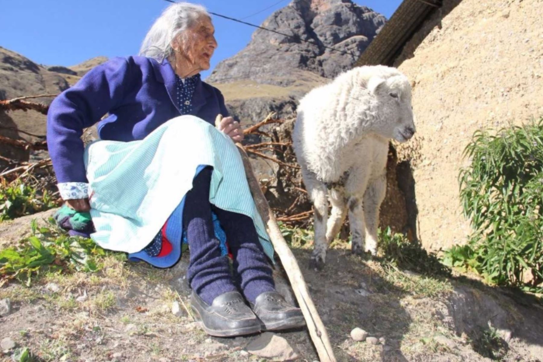 La ayacuchana María Flores Rojas es la usuaria más longeva de Pensión 65. Nació en Condorpampa, caserío del anexo de Ccalani, distrito de Upahuacho, provincia de Parinacochas, donde ha vivido sus 116 años.