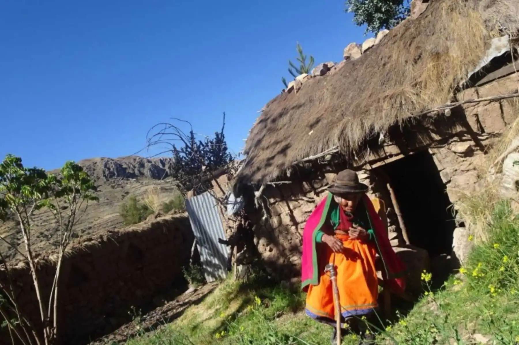 Inés Villanueva, pese a lo avanzado de su edad (115 años), aún recuerda con alegría la época cuando sembraba en su chacra. Cuenta que tiene 50 nietos y biznietos que le han dado sus 7 hijos e hijas.