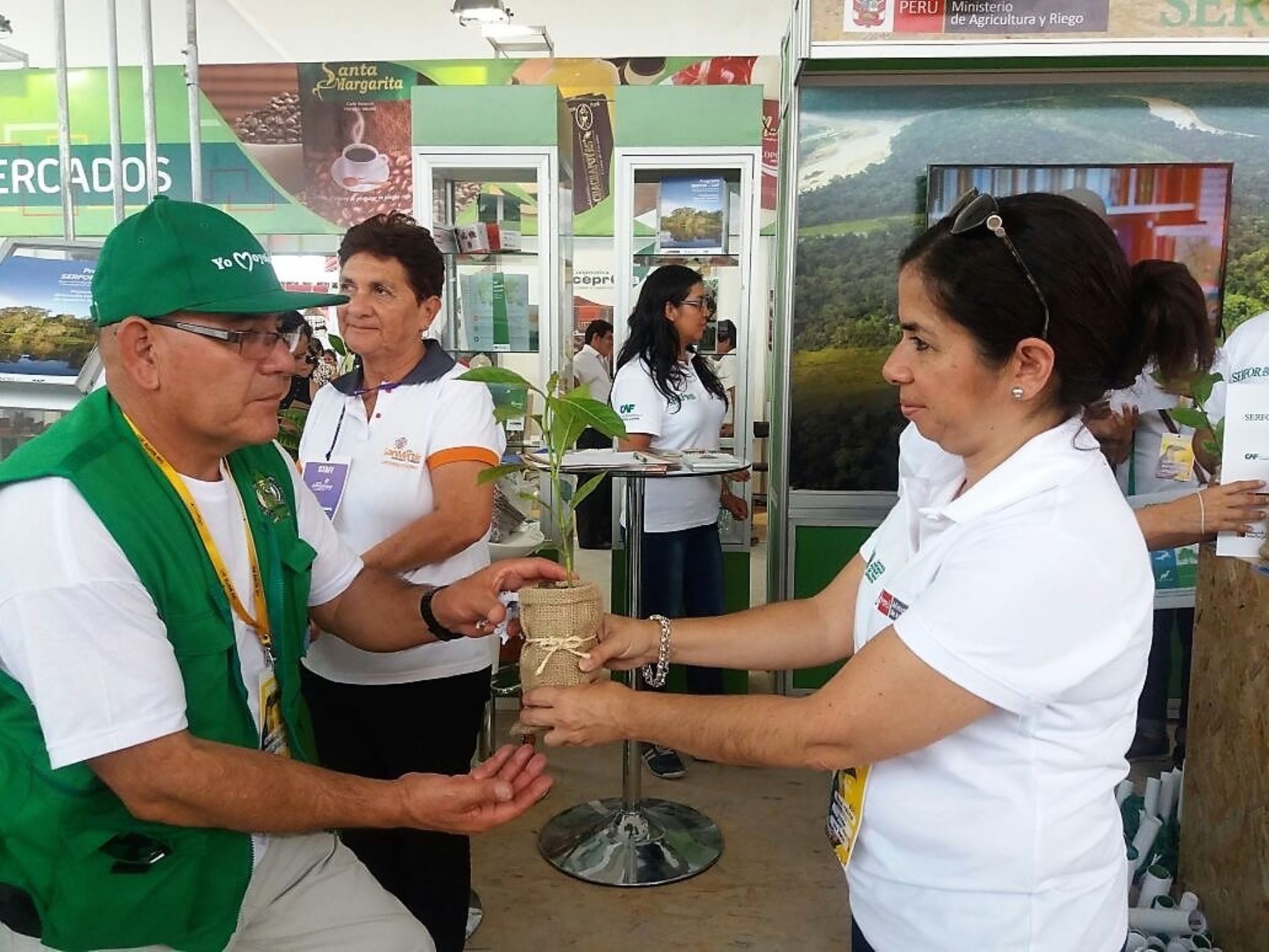 Serfor promueve Registro de Plantaciones Forestales.