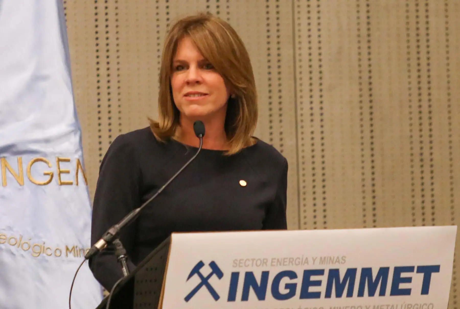 Ministra de Energía y Minas, Cayetana Aljovín.