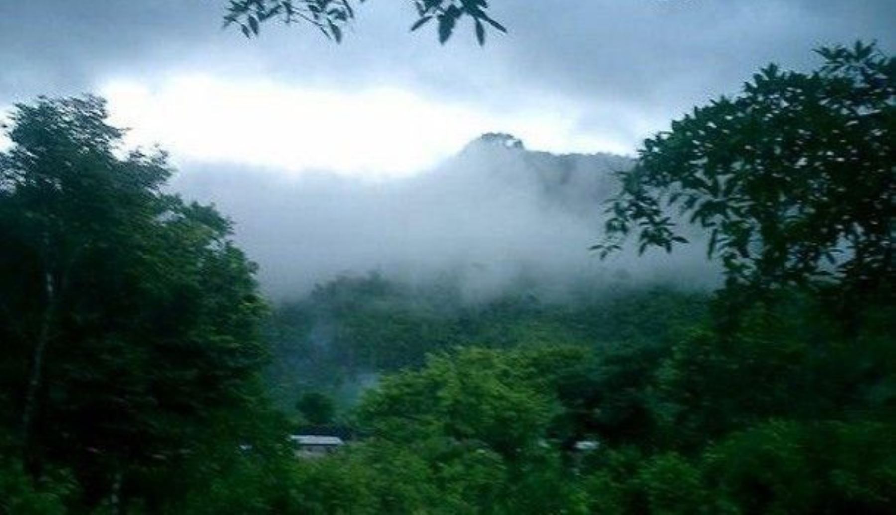 En la selva sur se registrará hasta 14 grados Celsius tanto el viernes 10 como el sábado 11, informó el Senamhi. ANDINA/Difusión