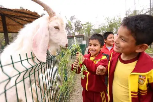 Municipalidad de Lima celebra el Día del Niño