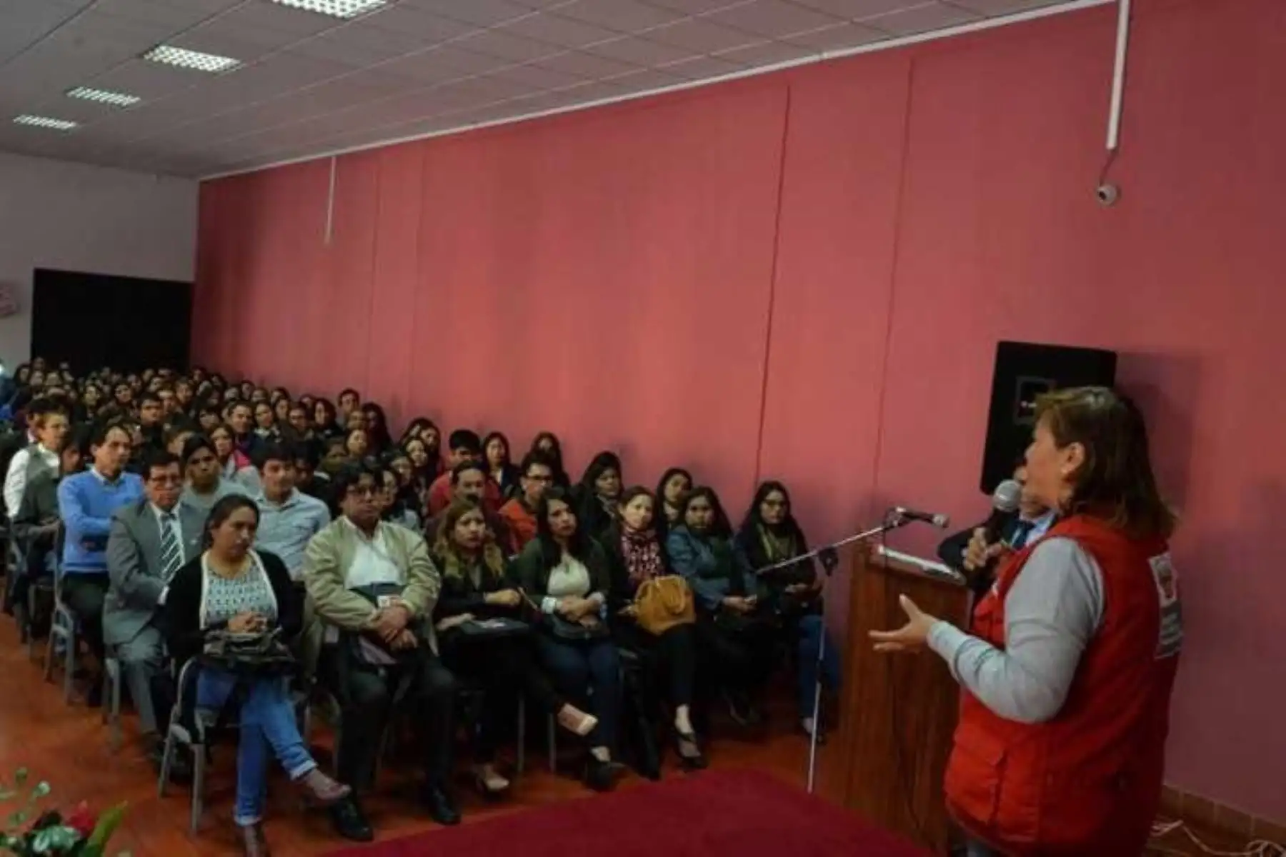 La ministra de la Mujer y Poblaciones Vulnerables (MIMP), Ana María Choquehuanca, dialogó con más de doscientos abogados, psicólogos y asistentes sociales de los distintos Centros Emergencia Mujer (CEM) de la macro región sur, que comprende a las regiones de Ayacucho, Junín y Huancavelica, y que atienden los casos de violencia familiar y sexual.