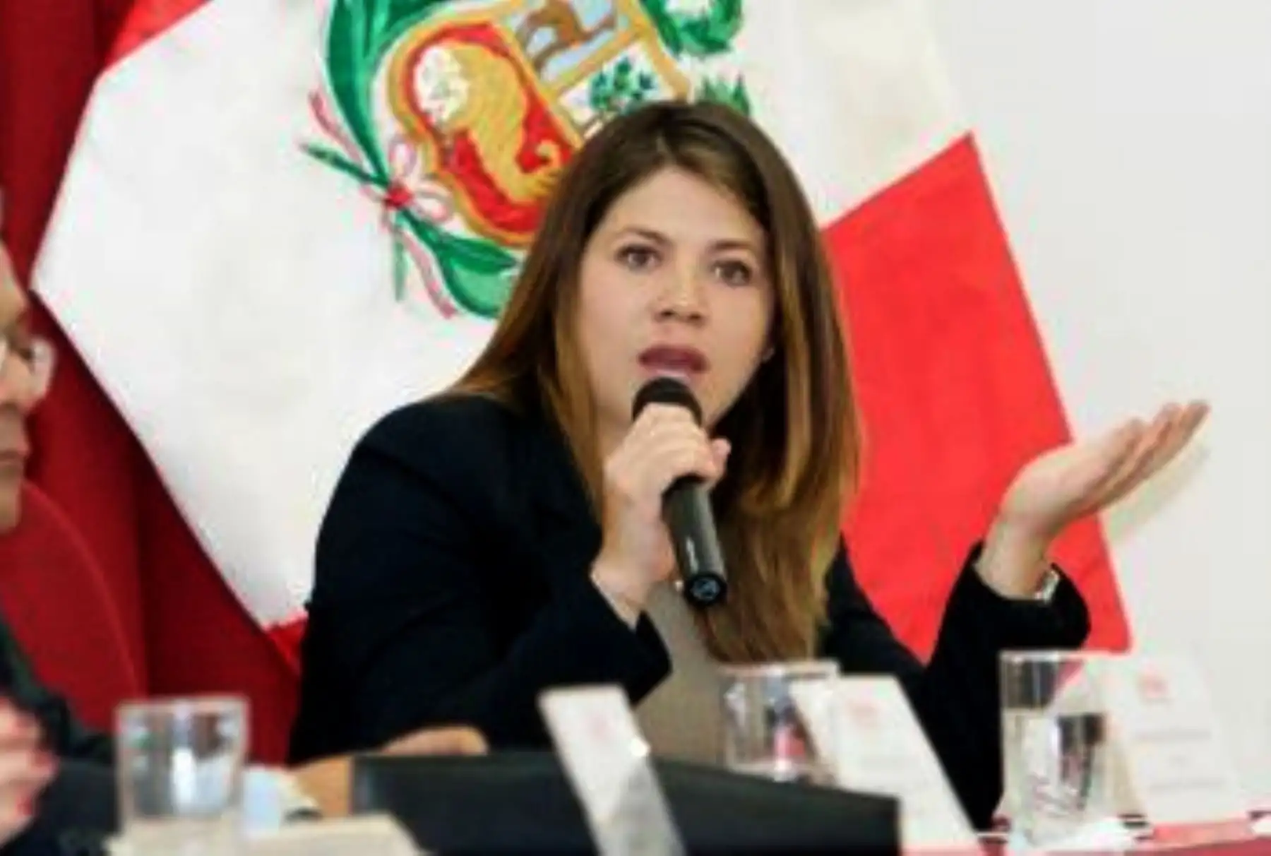Presidenta ejecutiva del OSCE Blythe Muro. ANDINA/Difusión