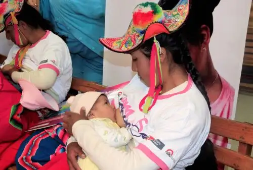 Las áreas rurales de la sierra sur y centro del país presentan una mayor proporción de gestantes con anemia, según un estudio publicado en la Revista Peruana de Medicina Experimental y Salud Pública del Instituto Nacional de Salud (INS). ANDINA/Difusión