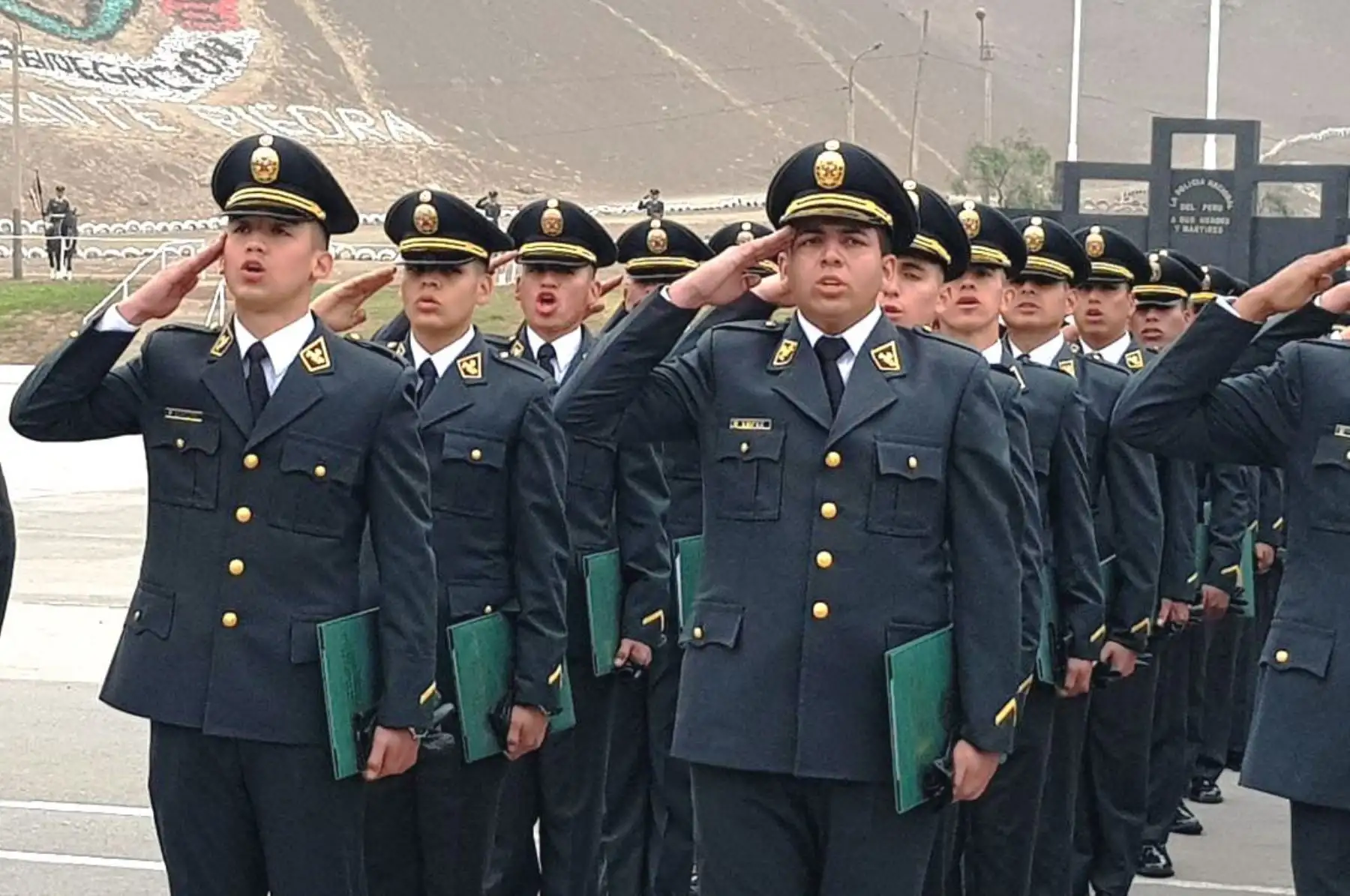 Foto: ANDINA/Difusión.