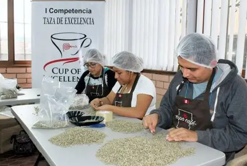 Foto: ANDINA/Difusión