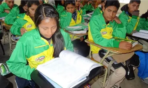 Al menos el 60% de los alumnos del tercer al quinto grado de secundaria de Huancavelica no perderán el año escolar por la huelga magisterial debido a que vienen accediendo a centros de complementación académica del gobierno regional, informó hoy el gobernador Glodoaldo Álvarez.
