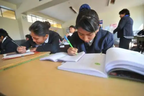 Al comenzar la tercera semana de la ilegal huelga magisterial convocada por un sector de docentes, el 96.7% de los estudiantes a nivel nacional se encuentra recibiendo clases con total normalidad, según indican los reportes de asistencia enviados hoy al Ministerio de Educación (Minedu) por las unidades de gestión educativa locales (Ugel). ANDINA/Difusión