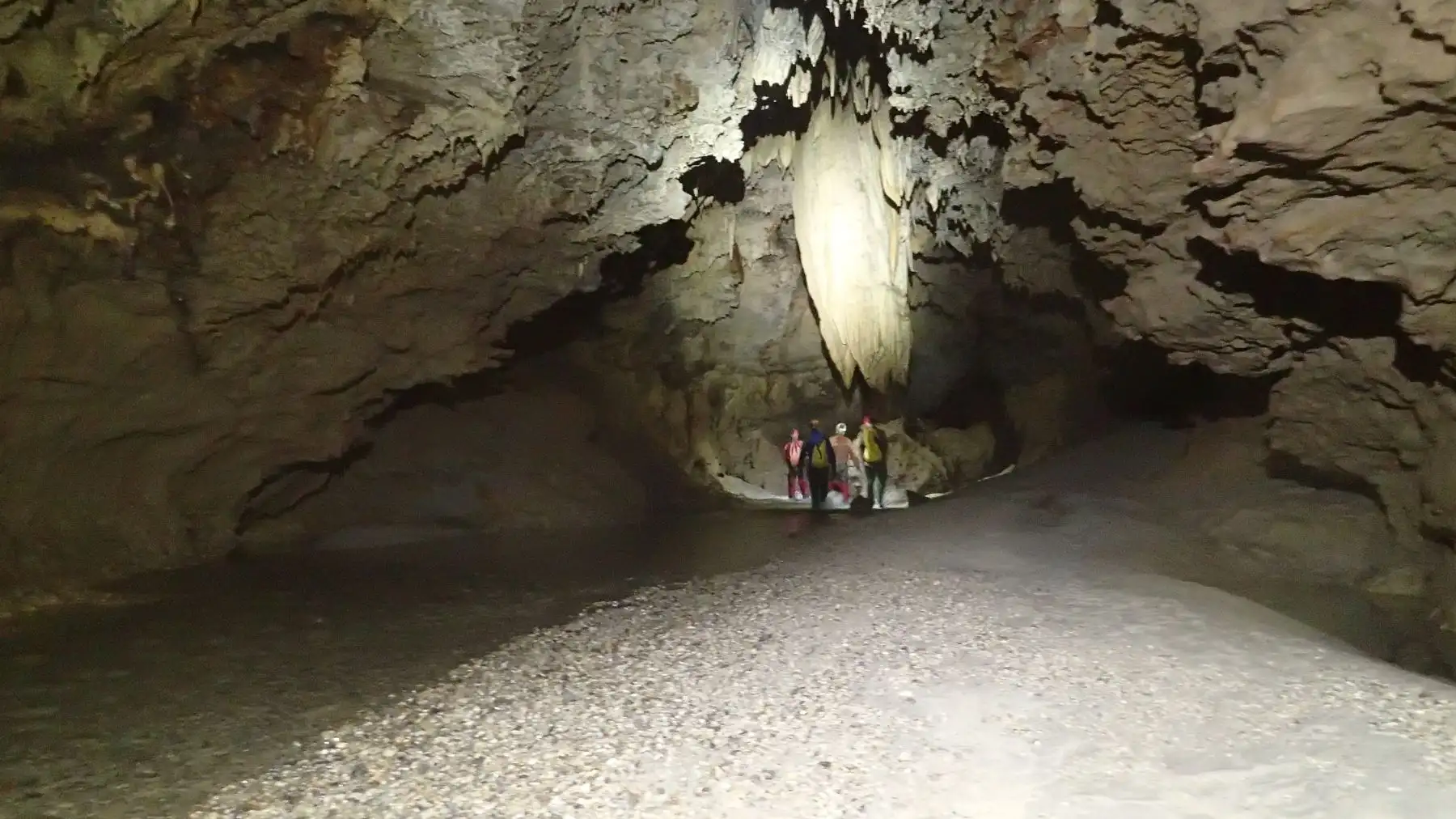 Científicos resaltan riqueza biológica de cuenca subterránea del Alto Mayo. Cortesía