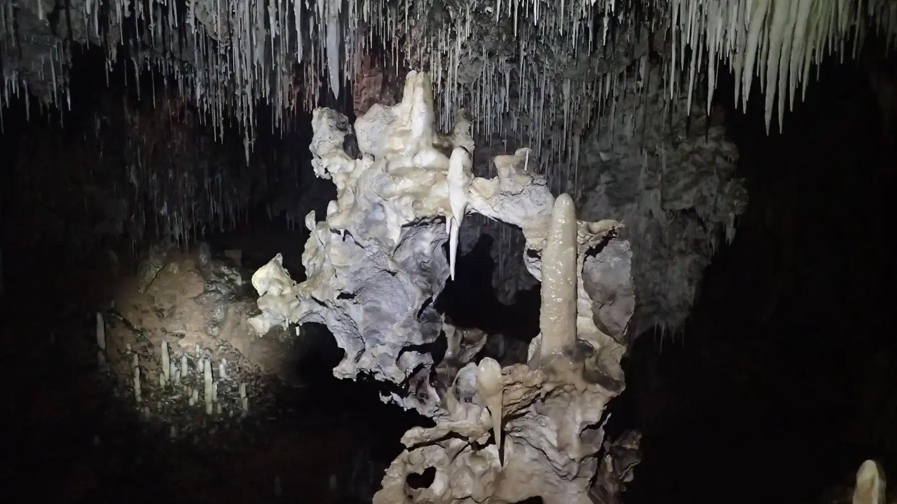 Científicos resaltan riqueza biológica de cuenca subterránea del Alto Mayo. Cortesía